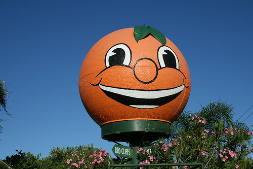 orange world