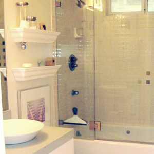 bath-shower combo 3