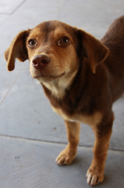 More salami please.