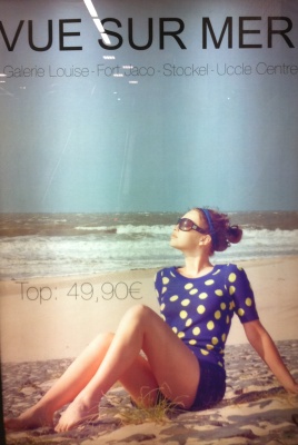 Seaview in Belgium