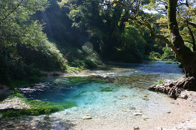 Enchanting and isolated
