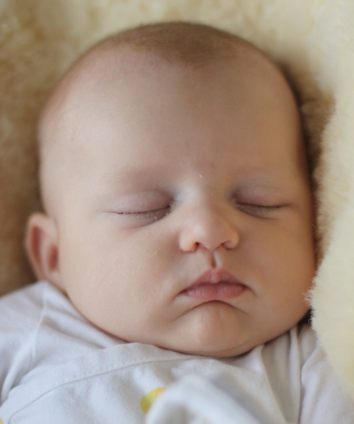 Sleepy piglet