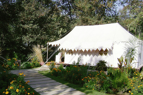 Our home in Ranthambhore