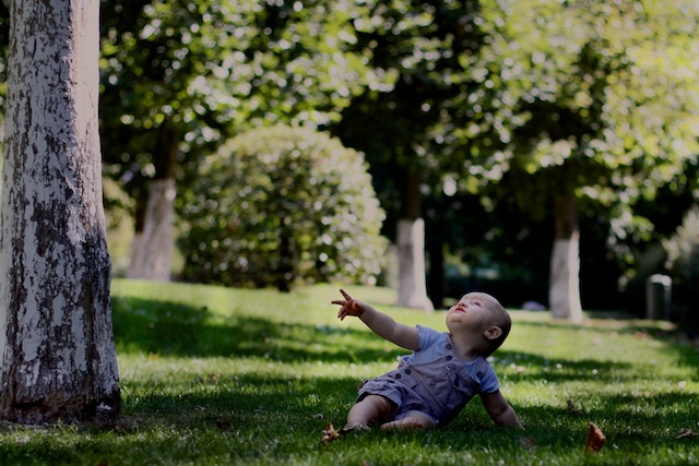 Hayden in the Park