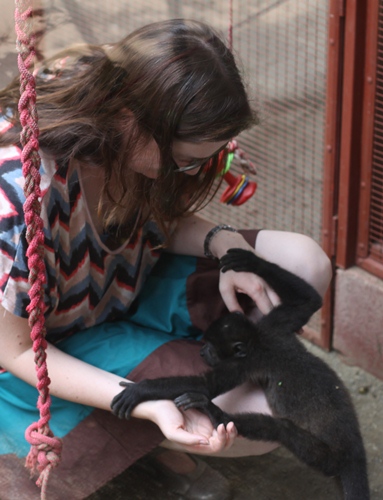 Hello little monkey