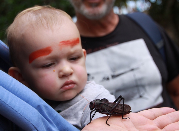 Hayden meets a locust